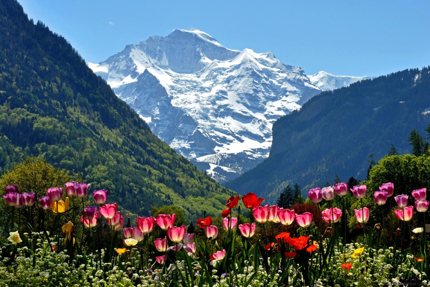 destinasi swiss
